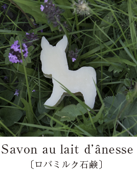 Savon au Lait d’anesse